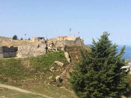 Kanine Castle