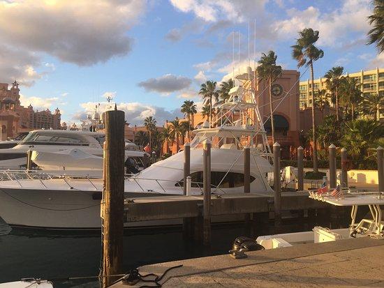 Marina Pizza