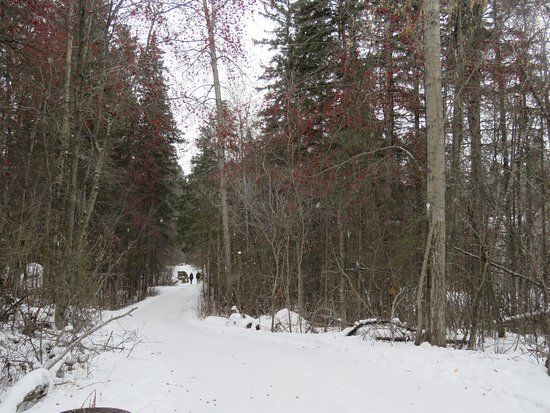 Kin Kanyon Park