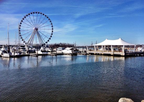 Harborfront Area